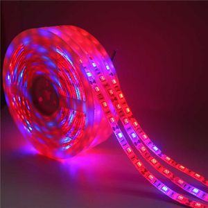 Grow Lights LED Plant Grow Phyto Lamps Full Spectrum LED Strip Light SMD 5050 Chip LED Potenti luci progressive per serra Impianto idroponico P230413