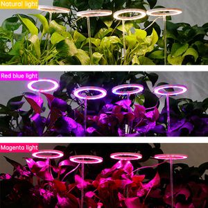 Luzes Grow Lights Angel Four Ring Growth Light 5V Plant Light LED LED Spectrum Indoor Plant Plaedling Housed Flower Sedling Light P230413