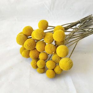 Decorative Flowers Factory Wholesale Craspedia Dried Preserve Billy Balls Artificial Floral Plants Home Decor Christmas Decoration