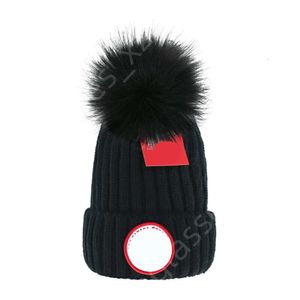 Canada Hat Beanie Luxury Top Quality Designer Goose Beanie Newest Designer knitted hat ins popular winter hats Classic Print Caps Luxury Outdoor Fashion Beanies