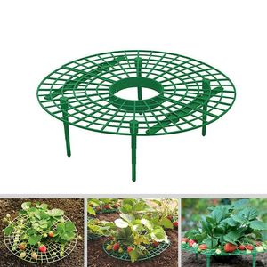 Planters & Pots Selling 2023 Products Strawberry Plant Growing Supports Keep Strawberries Off Rot In The Rainy Days #30