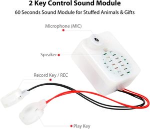 60 sekunder inspelningsbar röstmodul 2 Nyckelkontroll Sound Box Story Recorder Device för DIY Anpassade inspelningsfödelsedagspresenter