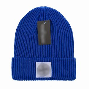 New Fashion Designer beanie Men's and women's hat fall/winter thermal knit hat ski brand bonnet High Quality plaid Skull Hat Luxury warm cap A-18