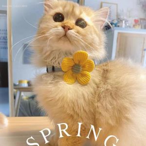 Köpek yakaları sevimli çiçek pet kedi yaka çekiş ayarlanabilir karikatür çan yavrusu yavru kedi kolye gatos Acelesorios A