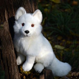 Bonecas de pelúcia Arctic Fox Anime Bonito Plushie Branco Polar Fox Plush Toys Lifelike Animais Simulação Stuffed Doll Toy Presentes Crianças 231114