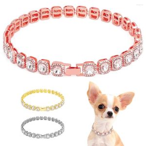 Köpek yaka bling elmas zincir yaka kristal rhinestone evcil hayvan kolyesi lüks küçük orta köpekler için parlayan cat chihuahua