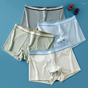 Underpants 4 Pcs/Lot Boxer Men Sexy Panties Underwear Knickers For Boxers Briefs Shorts Fashion Under Wear Lingerie
