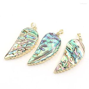 Colares pendentes Doreenbeads Liga de zinco de casca de abalone (níquel de chumbo) cor de prata Multicolor Colar 5,4cm x 2,4cm