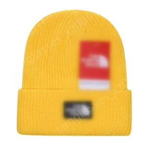 Makade mössa designer nord toppkvalitet hatt vinter bönor män och kvinnor modedesign stickade hattar fall cap bokstav 20 färger unisex varm hatt f13