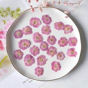 Decorative Flowers 24PCS/2-3cm Nature Petals Pressed Peach Flower Head Real DIY Resin Drop Gum Candle Phone Case Beauty Decal