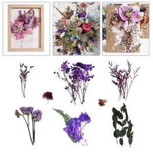 Dekorativa blommor färgglada torkade verkliga naturliga doftljus som gör gratulationskort scrapbooking dekorationer tillbehör