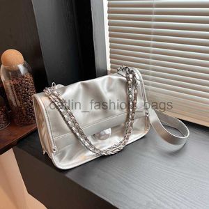 Shoulder Bags Silver Flap Crossbody Bags for Women Latest Classic Cain Ladies andbags andcatlin_fashion_bags