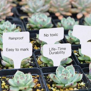 Piantatrici pentole da 100 pezzi tag pianta t marcatori tipi di etichette impermeabili etichette da giardino per verdure per vaso