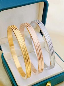 Bangle Women's Stainless Steel Bracelet With A Luxurious Frosted Premium Touch Multi-colored Hand Jewelry For Birthday Gifts