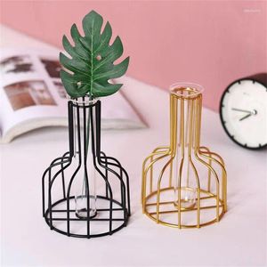 Vase Nordic Iron Glass Flower Vase Hydroponic Plant Hallow Out Test Tube Metal Holder Modern for Home Decor