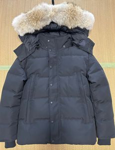 Kanada Erkekler Puffer Kış Parka Man Jassen Daunejacke Wyndhams dışarısı büyük kürk kapüşonlu palto İtalya Arktik Ceket Erkekler Homme Doudoune Manteau Tasarımcı