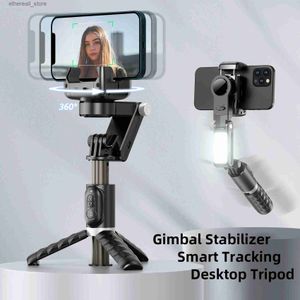 Stabilisatorer Desktop handhållen Gimbal Stabilizer Fill Light Selfie Stick TripoD Wireless Remote Portable Phone Stand Holder For Cell Phone New Q231116