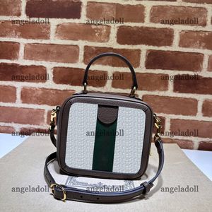 12A Specchio di qualità Designer Mini Borsa con manico superiore in beige e marrone 17 cm Borsa da donna in pelle tinta unita da uomo Borse di lusso Borsa a tracolla con tracolla con scatola