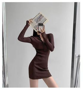 Praddas Designer Dress Dresses Europe Dresses Hot Style Pencil Skirt Massion Prd Prd Long Sleeved Dress Brick