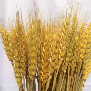 Decorative Flowers 50pcsDecorations Wheat Spike Dried Natural Wedding Tail Craft Book Bouquet Eid Mubarak Decoration 2