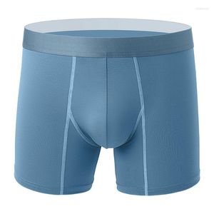 Трусы Sexy Boxers Sexy Boxers Shorts Cueca мягкие модальные трусики дышащие u выпуклый мешочек мужские сундуки ropa interior hombre