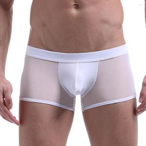 Underpantes homens gays pênis bolsa boxers lingerie de roupa íntima sexy linger-through thras