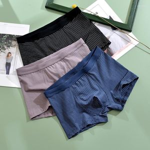 Cuecas listras de moda masculina boxer modal respirável confortável calcinha de algodão masculino de algodão no meio do homem sexy boxers shorts