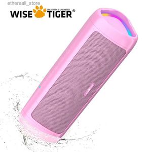 Колонки для сотовых телефонов WISE TIGER Розовый треугольный динамик Bluetooth Портативная звуковая коробка для улицы 10 Вт Динамик BT5.3 TWS 24-часовое время воспроизведения с подсветкой RGB Q231117