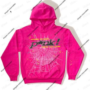 Lüks Marka Takip Hoodie Yeni 2023 Sonbahar/Kış Peluş Gevşek Takım Uzun Kollu Hoodie Düz Renkli Kazak Kadınlar Fabrika Satışları Toptan Satış