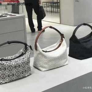 Luxury Loewwe Bags Cubis Handbags 2023 New Womens Bun Lunch Box Dumpling Canvas Portable Underarm Have Logo 4cdt V6qf