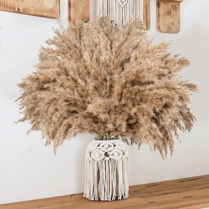 Dekorativa blommor fluffiga pampas gräsdekor faller torkad kort pompas litet bröllop arrangemang dekoration bulk 30-stjälkar torr pompös