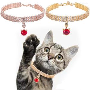 Dog Collars Designer Fancy Pet Collar Rose Gold 14K Hållbara tillbehör Röd strass hela säsongen Medium halsband för katt