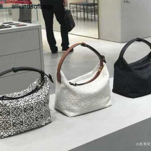 Designer Bag Loewwe Cubis Handbags 2023 New Womens Bun Lunch Box Dumpling Canvas Portable Underarm Have Logo B50j