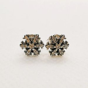 Autentyczny 925 Srebrna skórzana pandora błyszczące kolczyki stadninowe Snowflake Dangle TOI TOI FOR COODRINGS STUDS Jewelry 292370C01