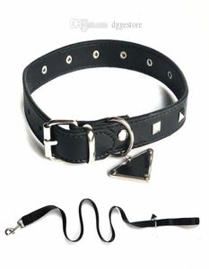 Designer Dog Collar Leases Set med inverterad triangel Metal Tag Classic Leather Pet Collar för små medelstora stora hundar Bulldog P8414771