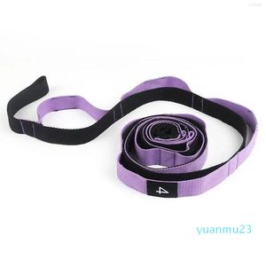 Resistance Bands Yoga Stretch Strap Aerial Anti-Gravity Rope with Grip Loops Fitness Equipment EST 33