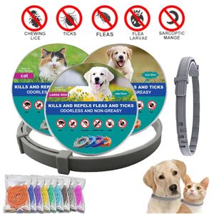Hundehalsbänder, Leinen, Floh- und Zeckenentfernungshalsband für Hunde, Anti-Parasiten-Halskette, verstellbar, für kleine Hunde, Katzen, große Produkte 231117