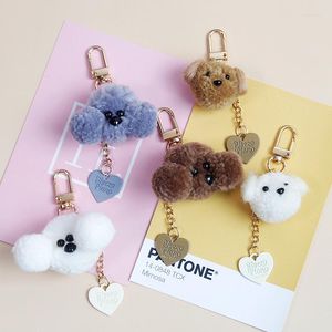 Keychains 2023 CARTO DOG TEDDY DOLL CHAK CHINE CHARYING SACO DO CAIBRO DE PENENTE PENANDO PLUSH PLUSH Toys AirPods Acessórios D428