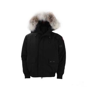 Canda Goose Ceket Altın Kaz Kadın Kazki Altın Kaz Tasarımcı Kuyum Ceket Kaz Kaz Kaz Puffer Jacket Stil Spor Hendek Sıradan Fermuar 5 Sogo Wkre