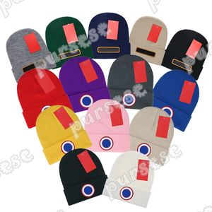 Kanadalı Kaz İki Stil 12 Renk Beanie Kanada Arktik Disk Düzgün Tok şapkalı Örme Yün Şapka Sıcak Rüzgar Geçirmez Tahıl Tut Tut