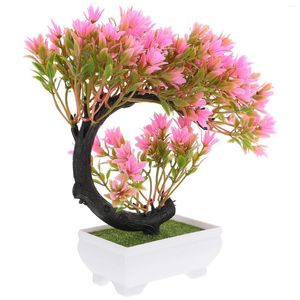 Fiori decorativi Piante da appartamento in vaso artificiali Bruxelles S Bonsai Albero Ufficio in plastica