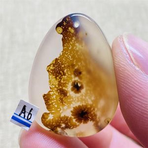 Dekorativa figurer Naturliga marin chalcedonhalsband semestergåva kristall energi sten läkande bälte hål