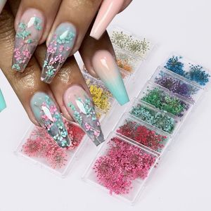Украшения для дизайна ногтей 12 шт. 3D натуральные сухие цветы для ногтей, наклейки для украшения ногтей, цветочный дизайн, аксессуары для маникюра DIY 231117