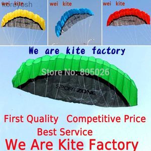 Drachenzubehör kostenloser Versand 2,5 m Dual Line Stunt Power Kite Softdrachen Parafoil Kite Surf Fliegen Outdoor Fun Sport Drachen Kiteboard Fabrik koiL231118