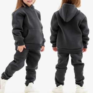 Clothing Sets 2023 Winter Children Hooded Tracksuits Suits 0 6Y Toddler Boys Girls Suit Solid Plush Sweater and Sports Pants Set 231117