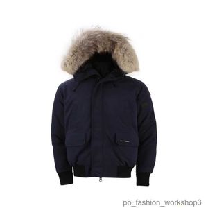 canda goose jacket golden goose woman gooseberry golden goose Designer gooses down Jacket canda goose pufferjacket Style Sport Trench Casual Zipper 4 J7PG