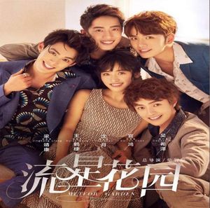 5Style Välj Meteor Garden Chinese TV Series Målningar Art Film Print Silk Poster Hemväggdekor 60x90cm6519697