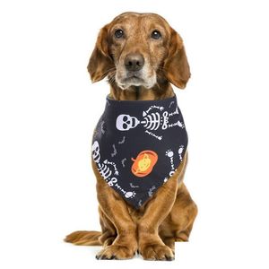 Andra hundförsörjningar Halloween Dog Cotton Scarf Bib Grooming Accessories Bandage Collar för små medelstora husdjursmodedesigner dhnyi