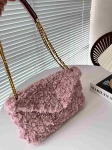 Luxury Designer Bag Winter Lamb Hair Cloud Bags Women Chain Underarm Bag Designer Shoulder Bags Crossbody Handbag Fashion Hobo Purse
