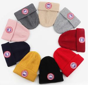 Designer Beanie Goose Sticked Caps Farm Pullovers Warm ull Cap Cold Canssada Gookse Hat Winter Warm Hats Cappello Casquette Skull Caps Butiker Casual